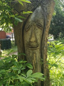 Rzeźba w pniu drzewa